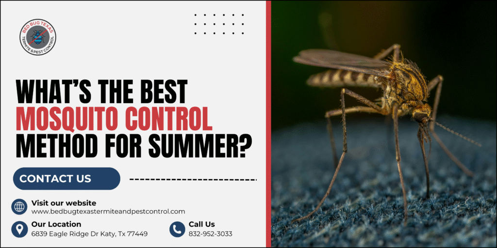 Mosquito Killer | Bed Bug Texas Termite & Pest Control